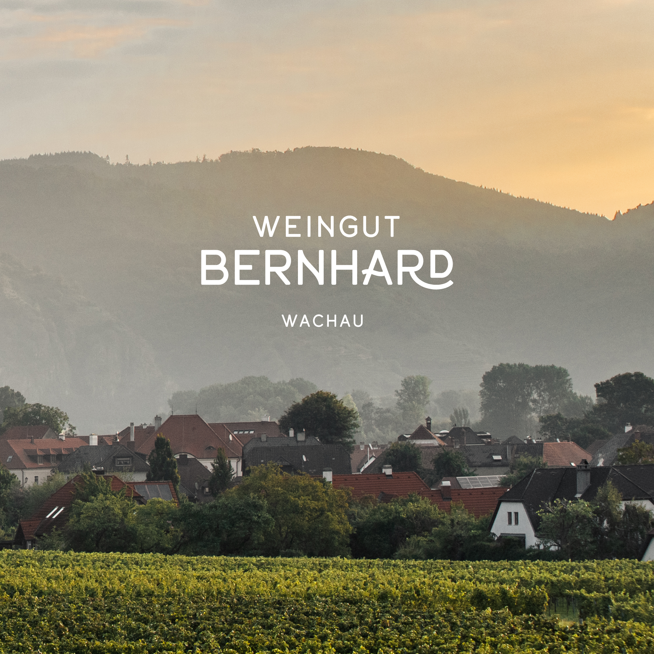 Suject mit dem Logo von Weingut Bernhard mit einem Landschaftsfoto im Hintergrung