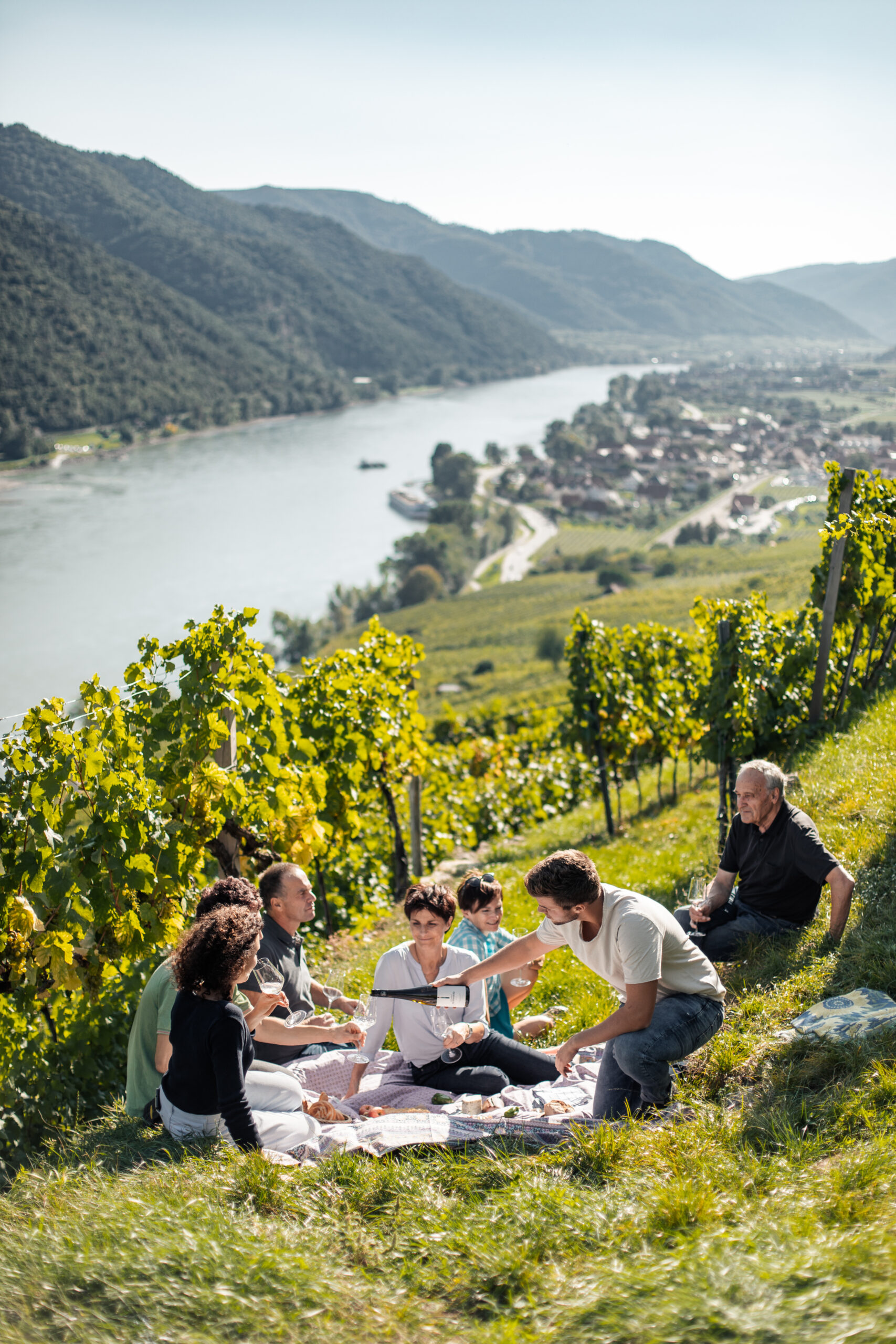 Picknickszene bei Sonnenschein in der Wachau