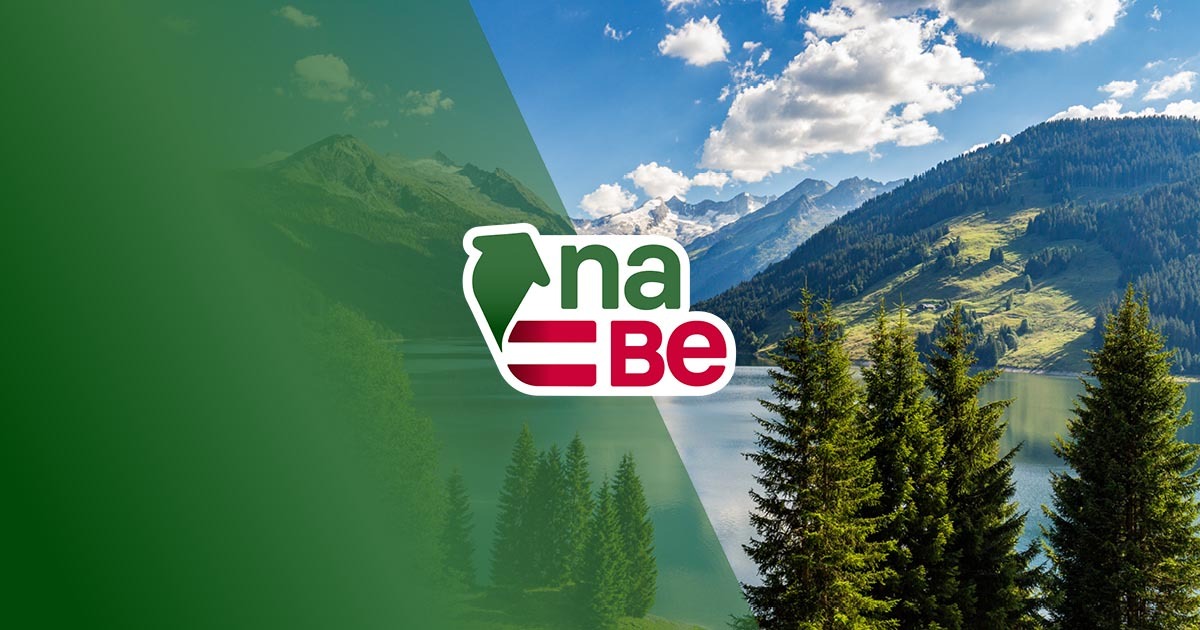 Hauptsujet der naBe mit Bergen im Hintergrund und Logo im Vordergrund