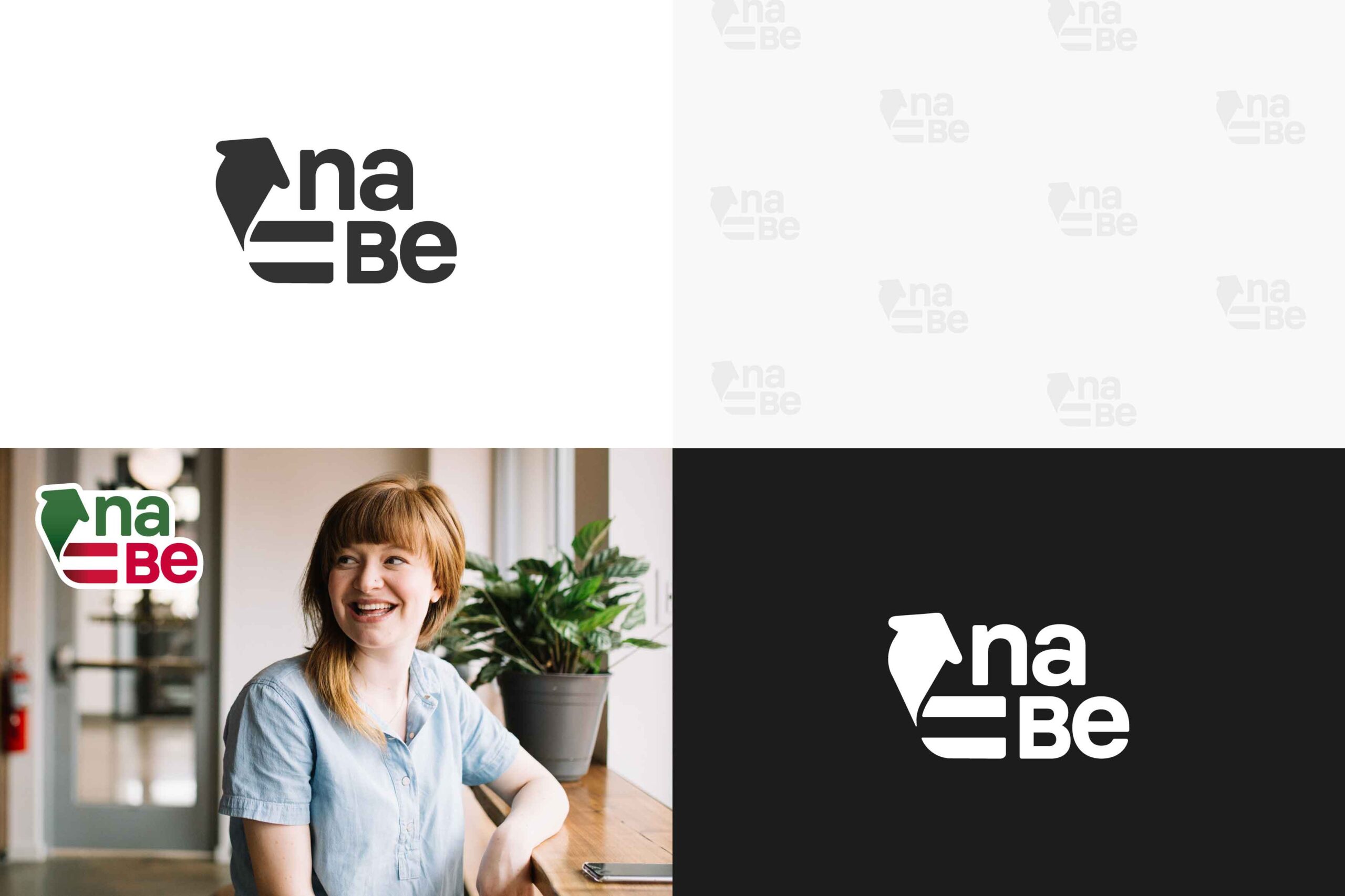 Grafik vom neuen Logosystem der naBe